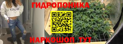 кокс Славгород